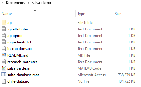 A file browser for the salsa repository now has a file named .gitignore as well as the two data files.